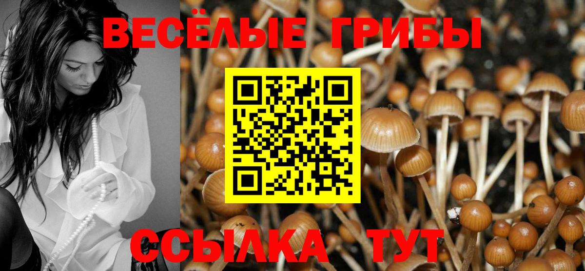 Псилоцибиновые грибы Psilocybine cubensis  Вход с VPN  Псилоцибиновые грибы GOLDEN TEACHER  Магнитогорск 