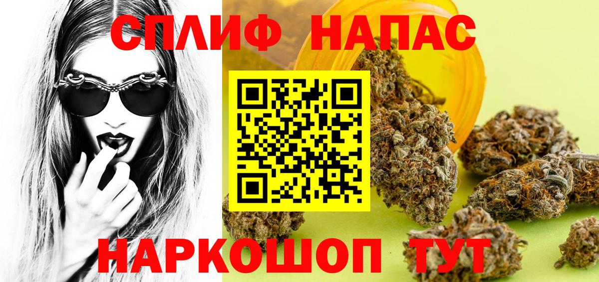 Конопля гибрид Магнитогорск